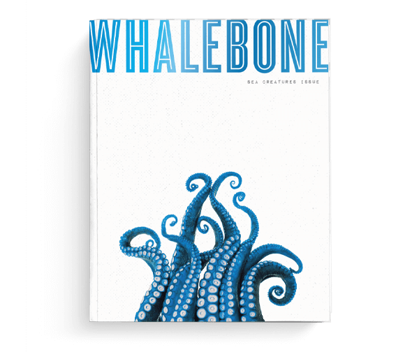 whalebone sea creatures magazine