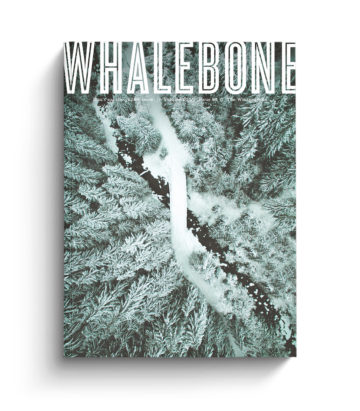 The Winter Issue: Volume 3 - Issue 2