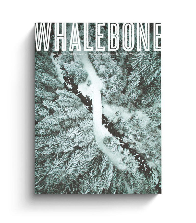 The Winter Issue: Volume 3 – Issue 2