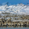 Travel-HM-Antarctic-Penguin-Landscape-Shivesh-Ram