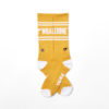 WB_Socks_Yellow_1