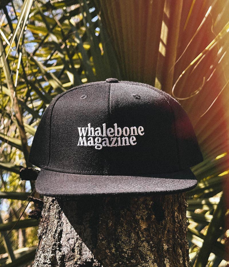 Frontal view of the black whalebone magazine snapback hat, sitting atop a stump with palmetto branches spread out behind